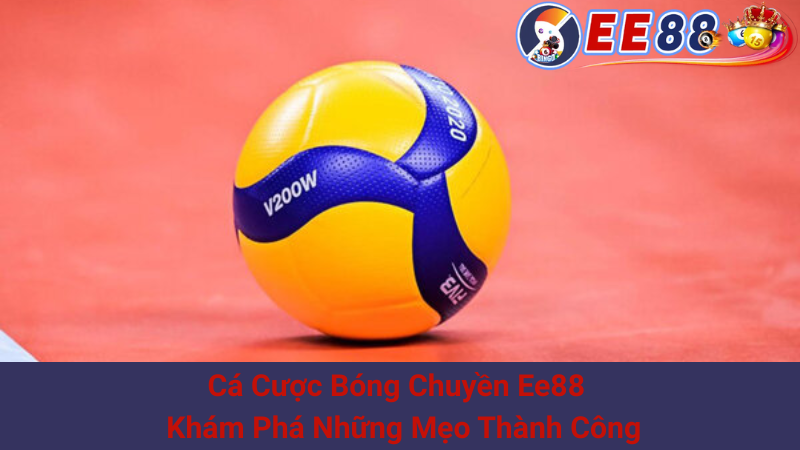 Cá Cược Bóng Chuyền Ee88 - Khám Phá Những Mẹo Thành Công 1 Cá Cược Bóng Chuyền Ee88 - Khám Phá Những Mẹo Thành Công